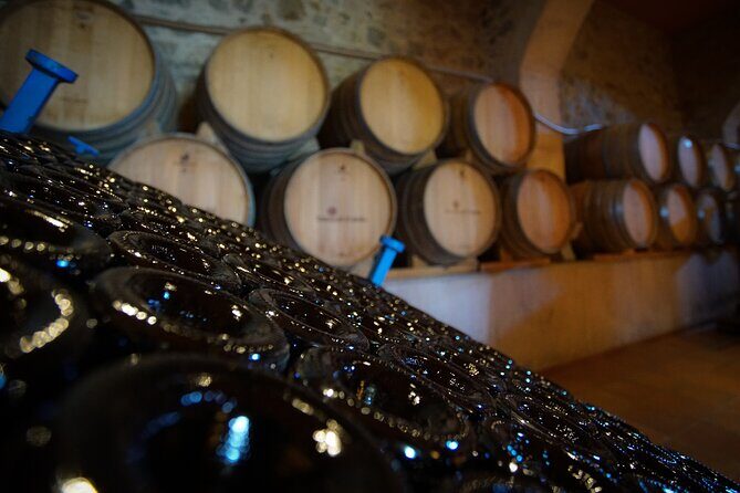 Sailing and Wine Tasting Experience Small Group in Barcelona - Who Will Love This Tour?