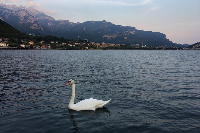 Sailing at Sunset on Lake Como: How to escape from daily routine - Final Thoughts: Who Is This Tour For?