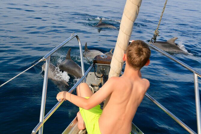 Sailing Boat-always private-always by sail-search for dolphins - The Experience: A Deep Dive into What You Can Expect