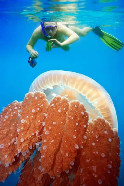 Sailing Boat Trip at the Makarska Riveria - The Value of the Experience