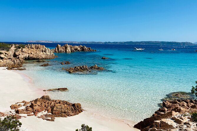 Sailing Cruise in Maddalena Archipelago from Maddalena - Key Points