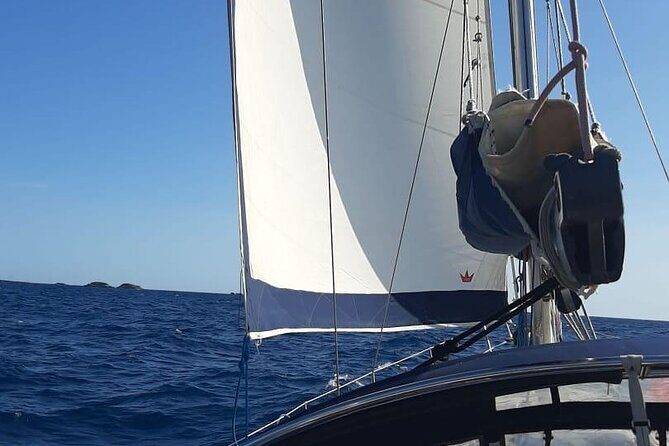 Sailing Trip in Santa Ponsa - Who Should Book This?