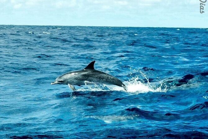 Sailing Yacht Lisbon's historic district Sightseeing Tour(2:30 H) - Final Thoughts: Who Will Love This Experience?