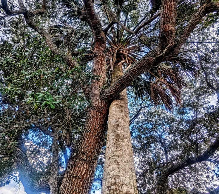 Saint Augustine: Walking Historic Tour - FAQs