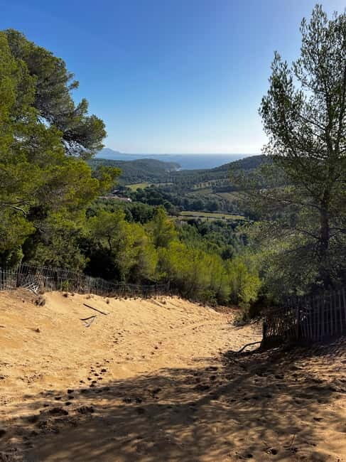 Saint-Cyr-sur-Mer: guided hike to the sand dune - Key Points