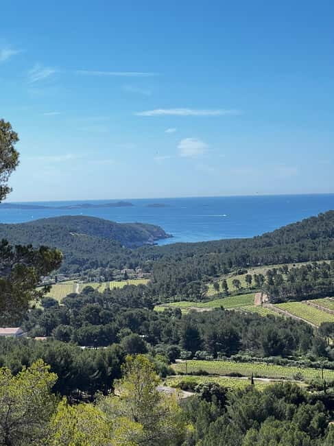 Saint-Cyr-sur-Mer: guided hike to the sand dune - Why You Should Do This Tour