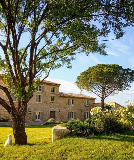 Saint-Didier: visit a vineyard & taste organic wines - An Introduction to the Experience