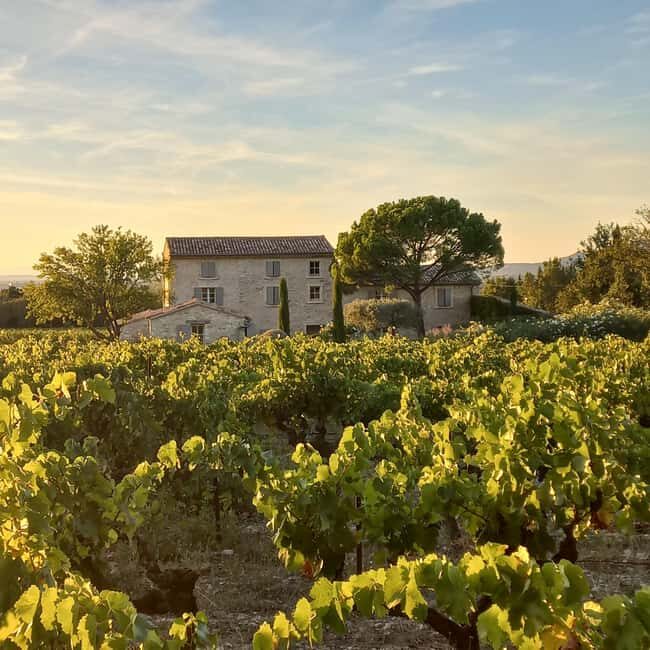 Saint-Didier: visit a vineyard & taste organic wines - The Itinerary in Detail