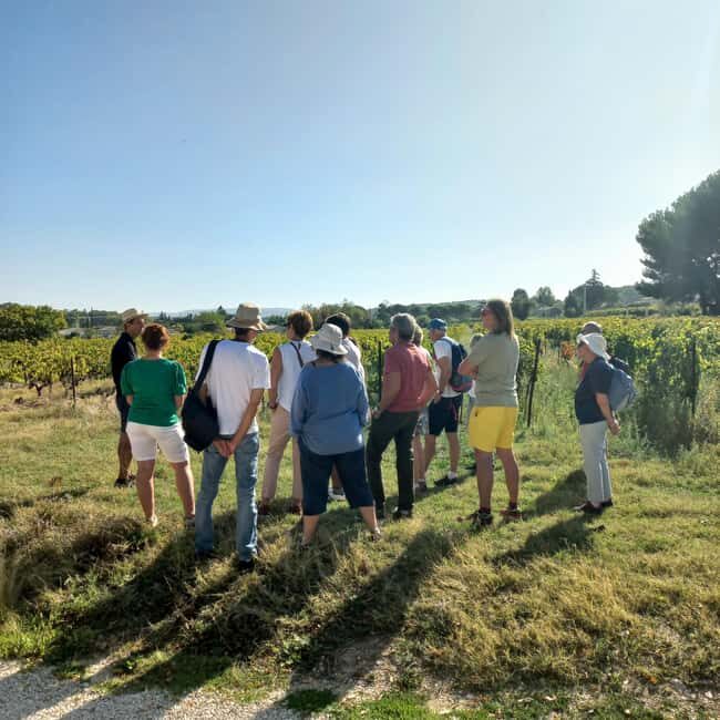 Saint-Didier: visit a vineyard & taste organic wines - Final Thoughts