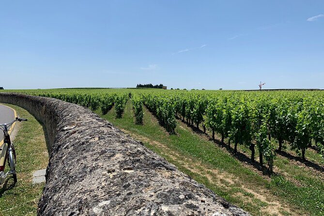Saint-Emilion Afternoon Tour - 2 Wineries, tastings & delicacies - Deep Dive into the Itinerary