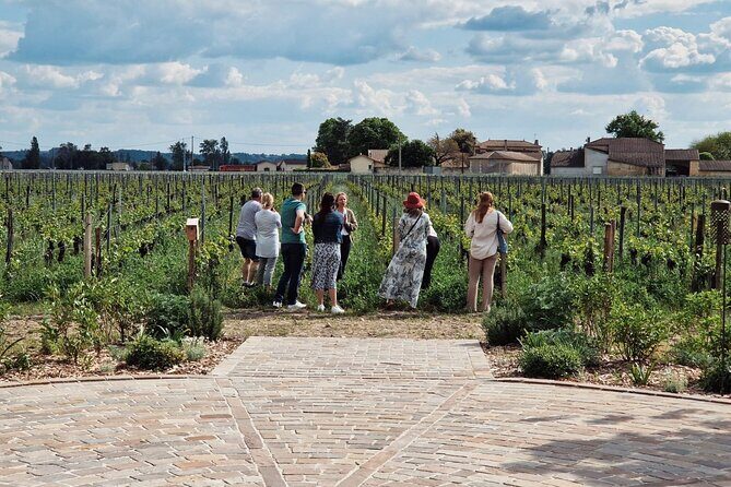 Saint-Emilion Afternoon Tour - 2 Wineries, tastings & delicacies - Who Would Love This Tour?