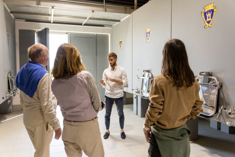 Saint-Émilion: Bordeaux Vineyard Tour and Wine Tasting - Detailed Breakdown of the Tour