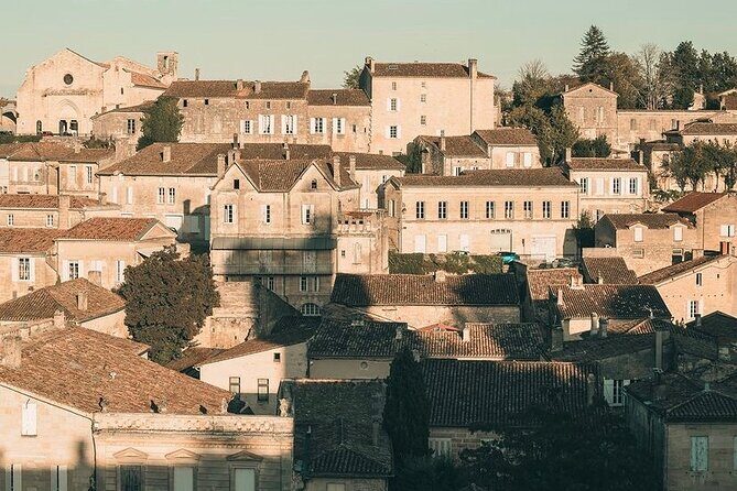 Saint Emilion Castle and Village Wine Tour - A Detailed Look at the Saint Emilion Castle and Village Wine Tour