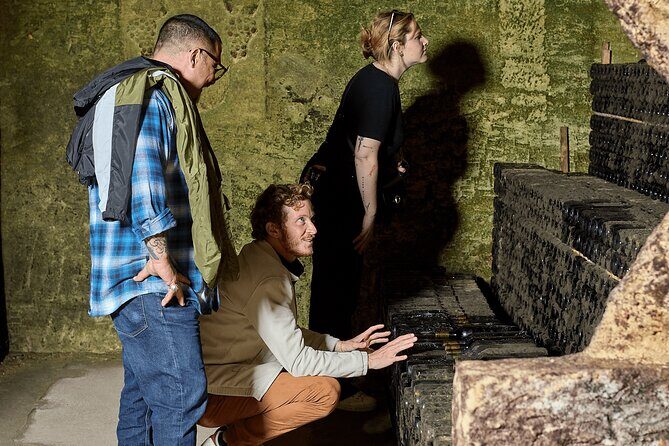 Saint-Émilion day tour: village visit, Châteaux and lunch - A Deep Dive into the Saint-Émilion Experience