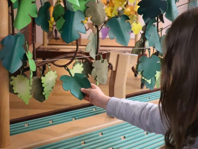 Saint Emilion: Family tour of the Maison Cardinale and tasting of three wines - An In-Depth Look at the Experience