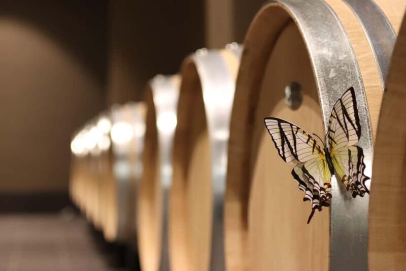 Saint Emilion: Family tour of the Maison Cardinale and tasting of three wines - The Sum Up