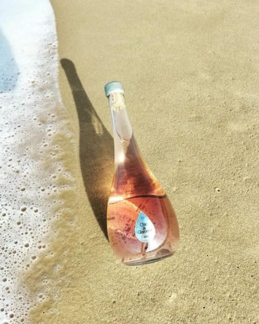 Saint-Émilion: Family Vineyard Visit with Wine Tasting - Final Thoughts: Who Will Love This Tour?