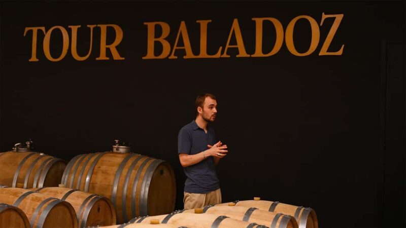 Saint-Emilion: Grand Cru Classé Gourmet Visit - What’s Not Included & Considerations