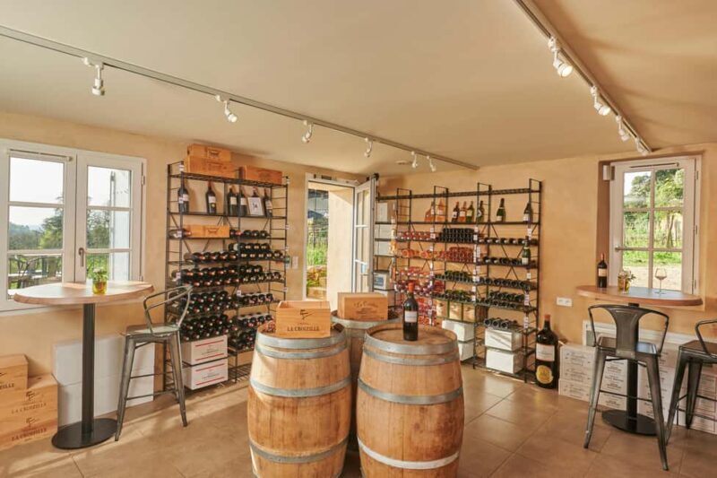 Saint-Emilion: Grand Cru Classé Gourmet Visit - Authentic Insights from Other Travelers