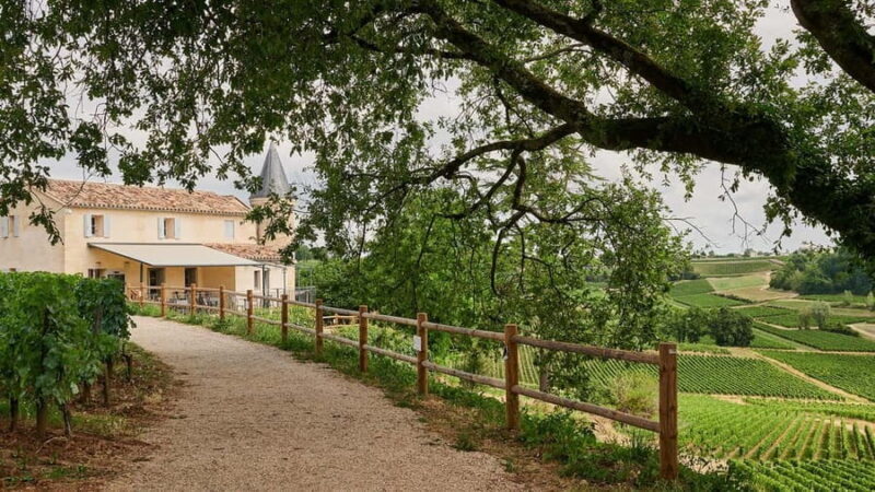 Saint-Emilion: Grand Cru Classé Guided Winery Visit & Picnic - Key Points