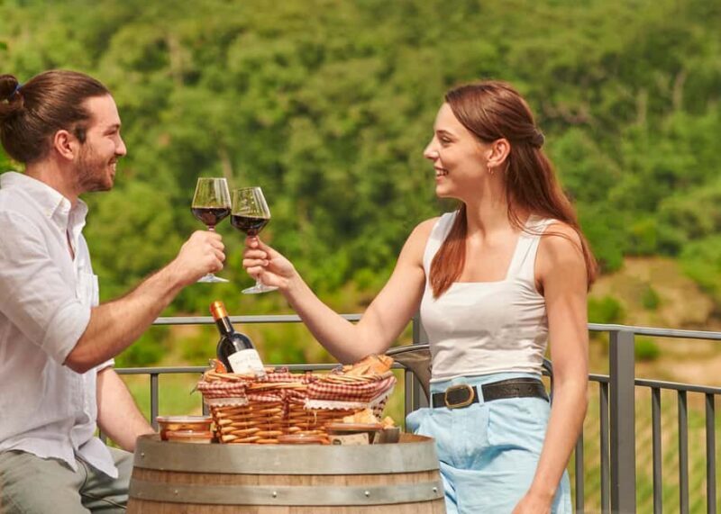 Saint-Emilion: Grand Cru Classé Guided Winery Visit & Picnic - A Closer Look at the Tour Experience