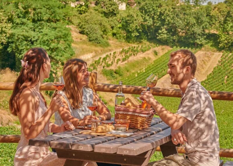 Saint-Emilion: Grand Cru Classé Guided Winery Visit & Picnic - Who Will Love This Tour?