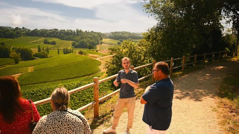 Saint-Émilion: Grand Cru Classé Winery Visit and Tasting - Key Points