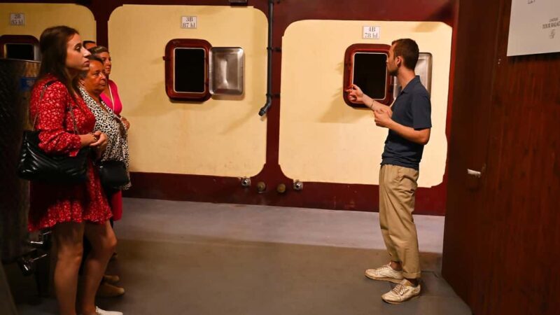 Saint-Émilion: Grand Cru Classé Winery Visit and Tasting - Who Is This Tour Best For?