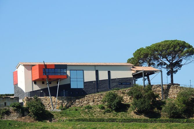 Saint-Emilion Grand Cru Classified: Visit & Tasting in French - What Travelers Love (and What They Don’t)