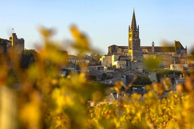 Saint Emilion Half-Day Trip with Wine Tasting & Winery Visit from Bordeaux - The Itinerary: What to Expect