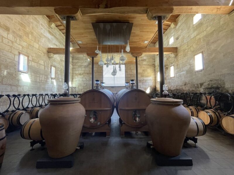 Saint-Emilion : half-day wine-tour into classified estates - Potential Drawbacks or Considerations
