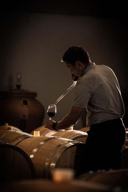 Saint-Émilion: Origin Tour - Tasting of 5 wines - Key Points