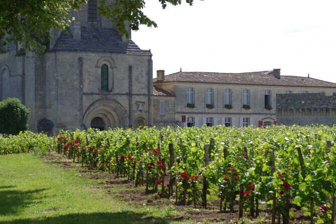 Saint-Emilion Private Full Day Wine Tour from Bordeaux - Who Is This Tour Best For?