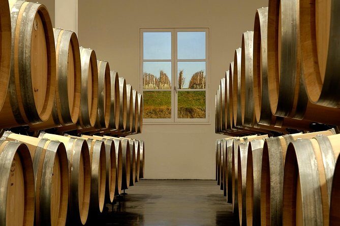Saint-Emilion Private Half Day Wine Tour from Bordeaux - Who Is This Tour Best For?