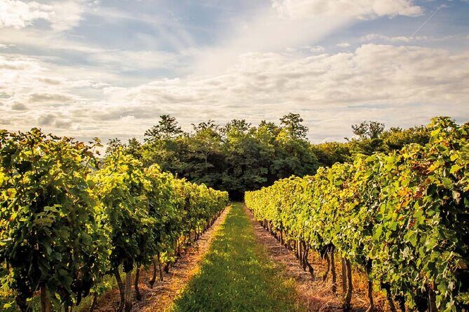 Saint-Emilion Private Half Day Wine Tour from Bordeaux - Final Thoughts