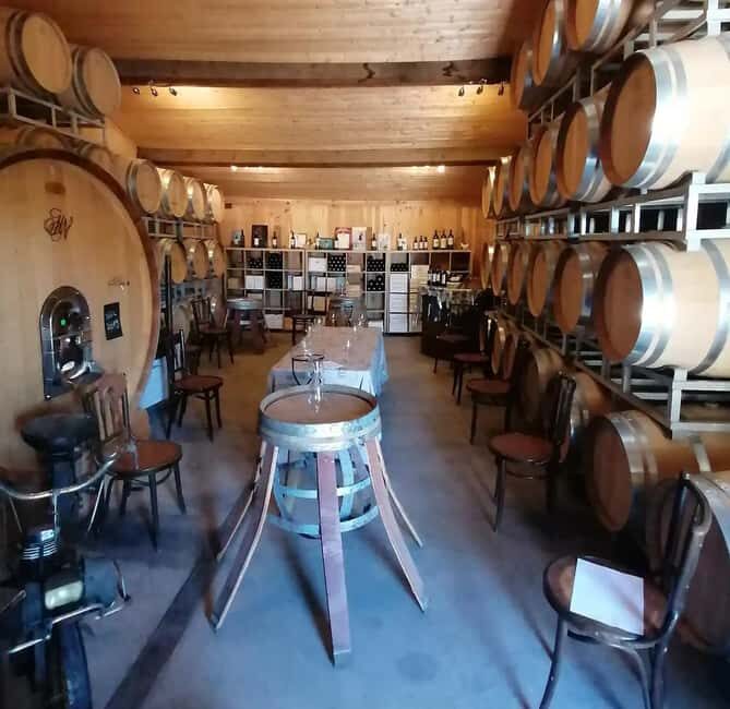 Saint-Emilion : Tasting of 4 wines in a family vineyard - Introduction