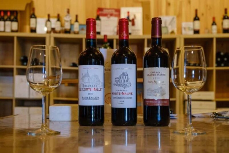 Saint-Emilion : Tasting of 4 wines in a family vineyard - Key Points