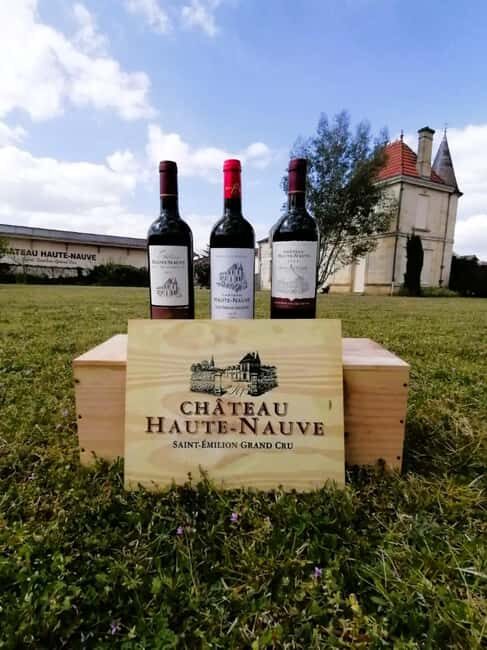Saint-Emilion : Tasting of 4 wines in a family vineyard - The Guided Tasting Experience