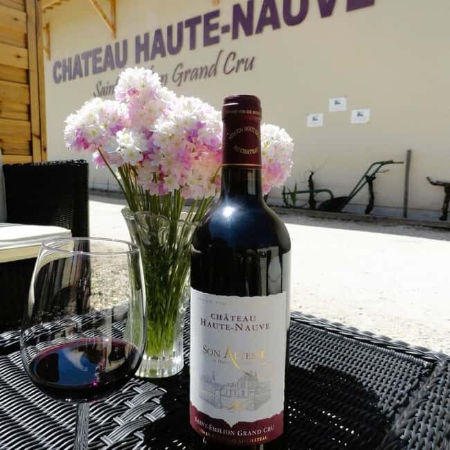 Saint-Emilion : Tasting of 4 wines in a family vineyard - The Wines and Tasting Notes