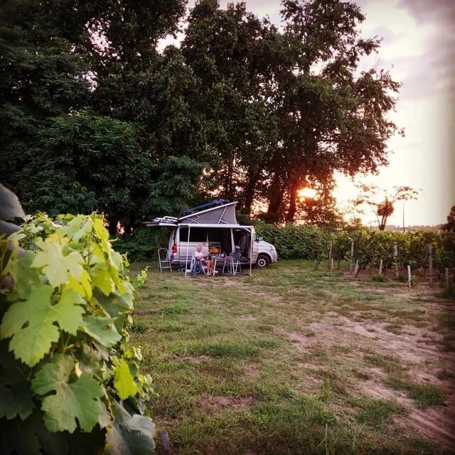 Saint-Emilion : Tasting of 4 wines in a family vineyard - Who Will Love This Tour?