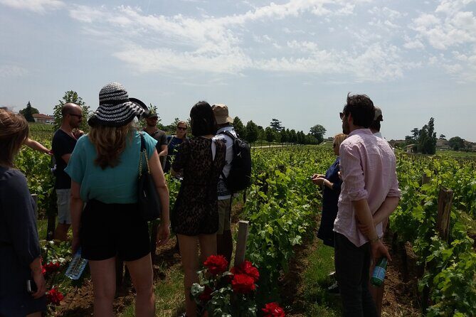 Saint Emilion Wine Tour Tasting Half Day from Bordeaux - What to Expect from the Tour