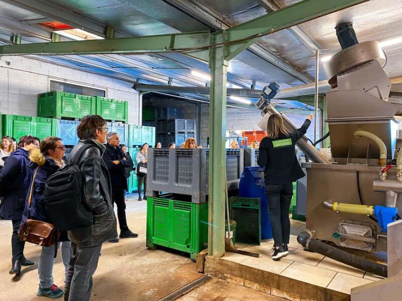 Saint Gilles: Tour of an olive oil mill in an organic olive grove - Why This Tour Offers Good Value