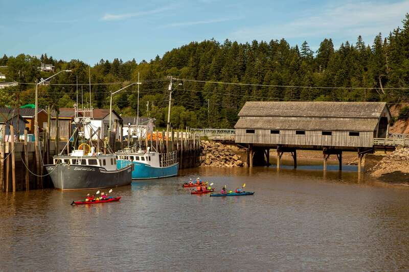 Saint John: Guided Kayaking Tour of St. Martins Sea Caves - The Sum Up