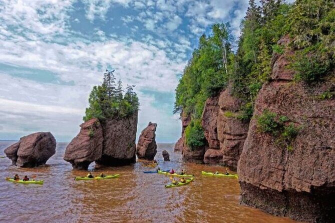 Saint John (NB) Bay of Fundy and Hopewell Rocks Private Tour - Key Points