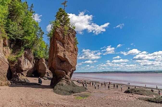 Saint John (NB) Bay of Fundy and Hopewell Rocks Private Tour - Who Will Love This Tour?