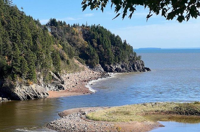 Saint John (NB) Bay of Fundy and Hopewell Rocks Private Tour - The Sum Up