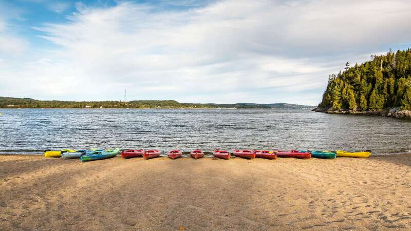 Saint John River: River Relics Kayak Tour - An In-depth Look at the River Relics Kayak Tour