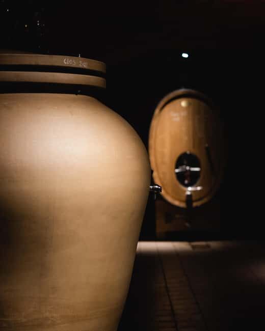 Saint-Nicolas-de-Bourgueil: Food and Wine Pairing Tour - A Close-Up Look at the Experience