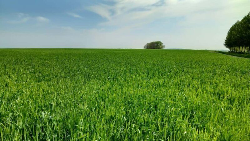 Saint-Quentin, Battle on the Hindenburg Line and the Canal - Considerations and Practical Insights