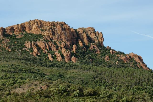 Saint Tropez and Port Grimaud: Full-Day Tour - Who Will Love This Tour?